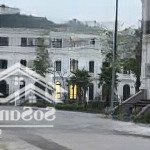 Biệt thự lô góc vip - hoàng tăng bí, bắc từ liêm - mặt tiền 12m - vỉa hè 5m - 185m2 - giá 41.5 tỷ