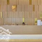 Bán nhanh gold view tầng cao đẹp , 50m2 1pn 1wc tặng nt . 3,5 tỷ net . lh: 0983568730 gặp tín