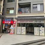 Bán và cho thuê toàn bộ shop chân đế shophouse dự án vinhomes smart city