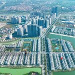 Chuyển nhượng gấp biệt thự song lậpdiện tích165m ngọc trai 05 đảo nhỏ vinhomes ocean park gia lâm