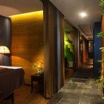 Cho thuê mặt bằng cực đỉnh tại bùi thị xuân phố đông du khách nước ngoài cho mọi mô hình spa