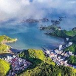 Chỉ 600 triệu sở hữu ngay căn hộ cao cấp view hướng biển dự án xanh island cát bà