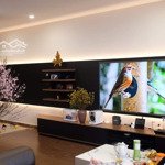 Giảm 500 triệu! mình cần bán căn 3 ngủ hacisco 107 ng chí thanh, ban công đông nam, tặng full đồ