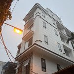 đàm quang trung. sát siêu thị aeon mall, mặt ngõ ô tô thông, kinh doanh. căn góc, thang máy, gara.