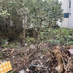 Bán đất đấu giá 31 ha trâu quỳ gia lâm dt 239 m đầu tư, giá 102 tr/1m2 kinh doanh, ô tô vỉa hè