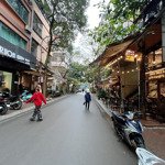 Bán nhà riêng hoàng ngọc phách- phân lô, ô tô tránh đỗ ngày đêm, kd văn phòng đỉnh 61m2*4t*4,8m mt