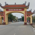 Bán đất tại đường lê hữu tựu, xã nguyên khê, đông anh, hà nội, 6,65 tỷ, 95 m2 - hot!