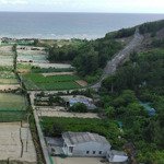 Bán gấp nhà riêng ở xã an hải, lý sơn, quảng ngãi, 2,7 tỷ, 234 m2