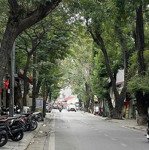 Bán nhà mặt phố tại phan kế bính, 27,5 tỷ, 50,7m2, 6 tầng, mặt tiền 3,9m