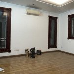 Bán biệt thự đẳng cấp tại cầu giấy phố trần thái tông - thọ tháp bạn đang tìm kiếm một căn biệt