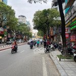 Giá đầu tư! nhà phố lạc long quân, diện tích khủng 305m2, mặt tiền rộng 15m, giá chỉ 65,5 tỷ