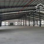 Cho thuê kho xưởng mapletree tại kcn vsip ii, thủ dầu một, bình dương