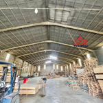 Xt127 cho thuê xưởng phường tân hoà, biên hoà, đồng nai (giá 30 triệu)