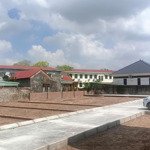 Chuẩn bị mở bán siêu phẩm mặt đường thôn ngay tt xã tại tân viên, an lão, hải phòng