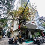 Siêu hiếm_khách sạn 10 tầng đồ sộ phố phương mai, đống đa, lô góc 60m, mt5,8m, giá hời 25,5 tỷ