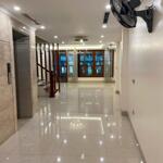 Bán nhà mặt phố nhật chiêu 110m2, 5t thang máy, mt6.6m view hồ tây cực đẹp giá 72 tỷ