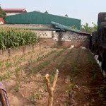 Mảnh đất siêu rẻ đẹp 113.1m2 vinh ninh - tri thủy - phú xuyên, hà nội