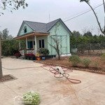 đất vườn xen kẹt dân cư khu chùa thầy - quốc oai