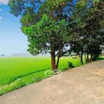 Nhỉnh 2 tỉ có ngay 144m2 mặt tiền 6m tại thôn 2 phú cát quốc oai hà nội