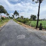 Bán đất lúa 2 mặt tiền đường 30/4 thuộc phước tân hưng, châu thành, diện tích: 20 x 30m