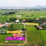 Bán đất 232m2 giá cực chất tại ninh thọ, ninh hòa, khánh hòa