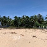 Siêu phẩm đất biển 1500m2 nở hậu mặt tiền nguyễn đình chiểu