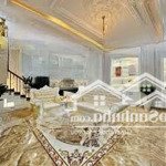 Siêu phẩm 555,3m2 giá 87 tỷ, căn villa quang trung, p11, gò vấp