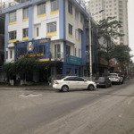 Siêu lô góc - vị trí vàng kinh doanh, 212m2 x 4t. mt 30m, giá 55 tỷ thương lượng