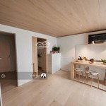 Xe hơi đậu cửa nhà hoàng hoa thám, p7 (5x17m) tiện xây mới. 10 tỷ tl