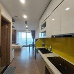 Bán gấp căn studio toà s premium - sky oasis xịn sò - tầng đẹp - đủ đồ đẹp như hình - sẵn sổ