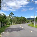 Bán rẻ lô biệt thự thổ cư ngay trung tâm thị trấn ma đa guôi, đạ huoai, lâm đồng