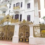 Biệt thự siêu đẹp bậc nhất kđtm đại kim định công hoàng mai 117m2 32,9 tỷ