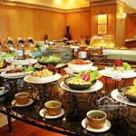 Lô góc siêu hiếm tại chùa láng. địa điểm vàng phù hợp kinh doanh nhà hàng cao cấp, game giải trí