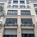 Cực hiếm! shophouse san hô 19 đường 20m view hồ giá chuyển nhượng tốt nhất thị trường