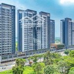 Mở bán rổ hàng căn celesta rise, thanh toán 50% nhận nhà ngay, cđt hỗ trợ lãi suất 2 năm