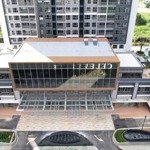 Hái tài lộc cùng celesta city trực tiếp chủ đầu tư