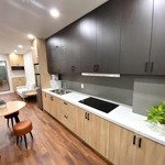 Căn hộ 2pn/1pn cao cấp gần vc dân chủ, quận 3