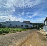 Bán đất hẻm lý thái tổ _ đamri hơn 500m2 sẵn thổ cư