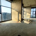 Chính chủ cần bán gấp căn chung cư penthouse ecopark siêu rộng rẻ nhất thị trường 226m hơn 60 triệu/m2