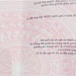 Hoa hậu siêu hiếm tại tiên hùng - nguyên khê - đông anh. lô góc 2mt