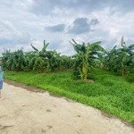 Bán gấp 2000m2 đất xã xuân đông, tỉnh đồng nai, cách đường đt 765 2km, hẻm xe tải ac lh sớm