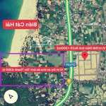 Bán đất tân thanh - cát hải, diện tích 200m2