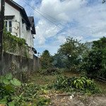 Bán đất gần 200m2 sẵn thổ cư hẻm bùi thị xuân_ tp bảo lộc