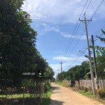 Bán đất vườn 1000m phủ full hồng gần sân bay long thành chỉ 2 tỷ 2
