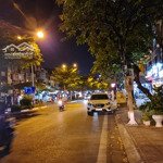 Bán gấp mảnh đất mặt phố kim mã, 210m2 mt 8m sổ 1 chủ giá cực tốt