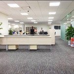 Tòa nhà mặt tiển lý thường kiệt tân bình - hầm 7 lầu thang máy - dòng tiền hơn 4 tỷ/ năm. 8*30