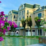 độc quyền quỹ ngoại giao, thưởng ck 23,5%, miễn lãi 30 tháng vinhomes ocean park 2,3