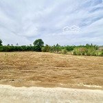 Bán đất đẹp 1000m2 đường bê tông ô tô, tại xuân tây, cẩm mỹ, đồng nai. chỉ 560 triệu