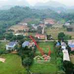 Bán đất tại xã thanh sơn, huyện lương sơn, hòa bình, 2453m2