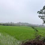 285m2 trục chính thôn 2 phú cát, giá loanh quanh 10tr/m2